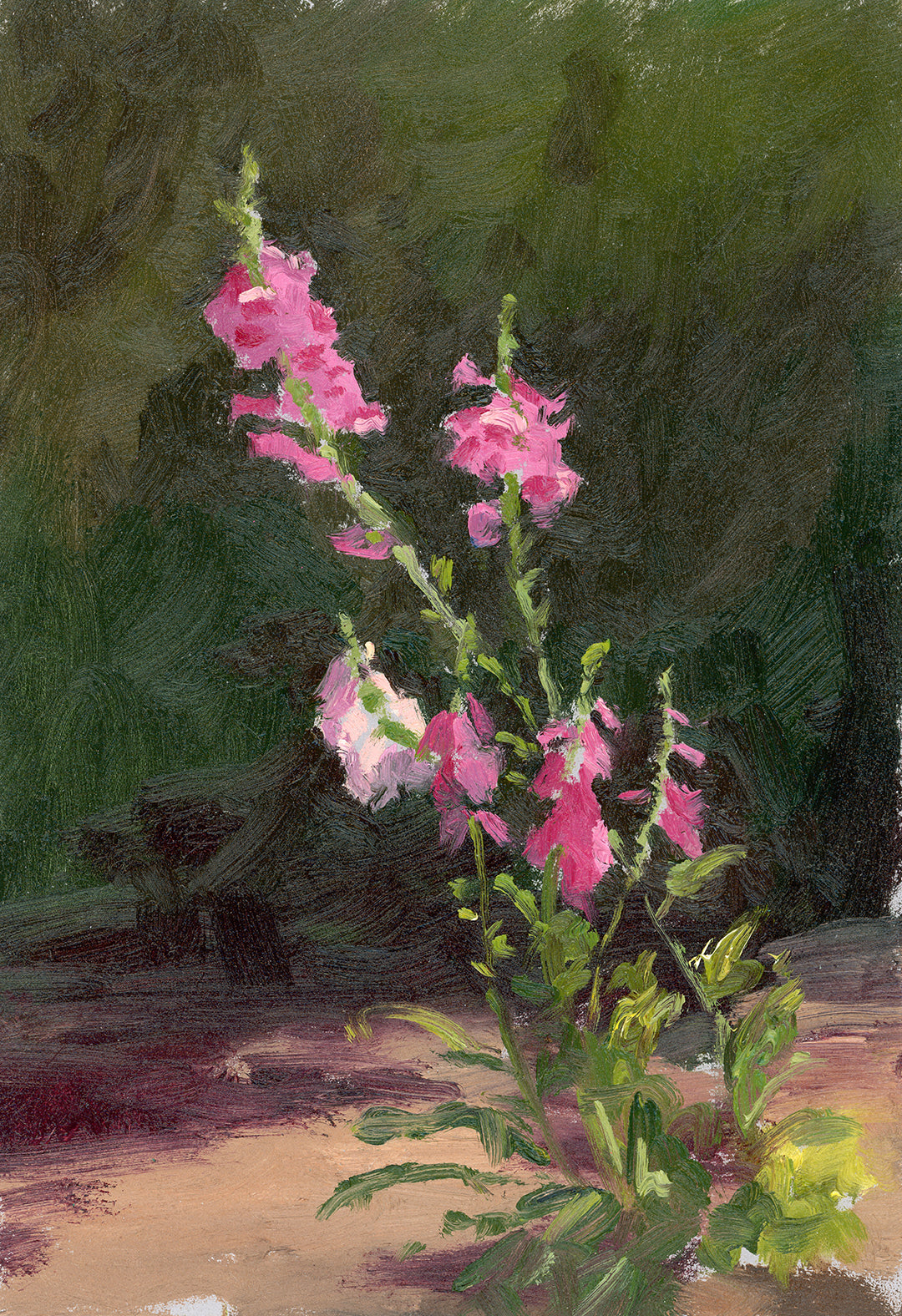 Foxgloves No. 1, Framed Plein Air Oil Painting