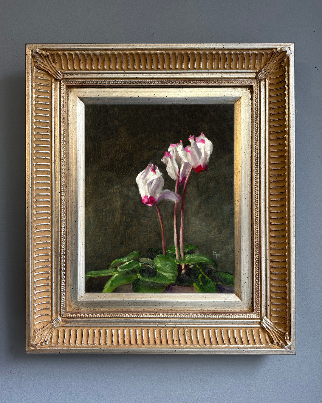 December 2025 - Limited Edition Print - White Cyclemen