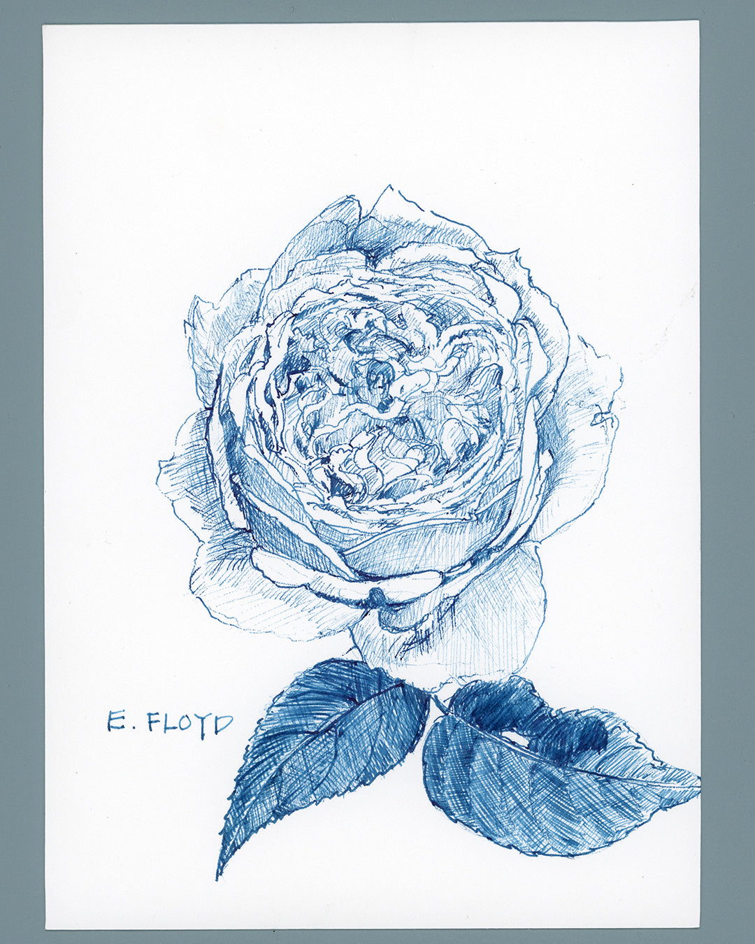 Everyday Flowers No. 40, Ink Drawing, Unframed