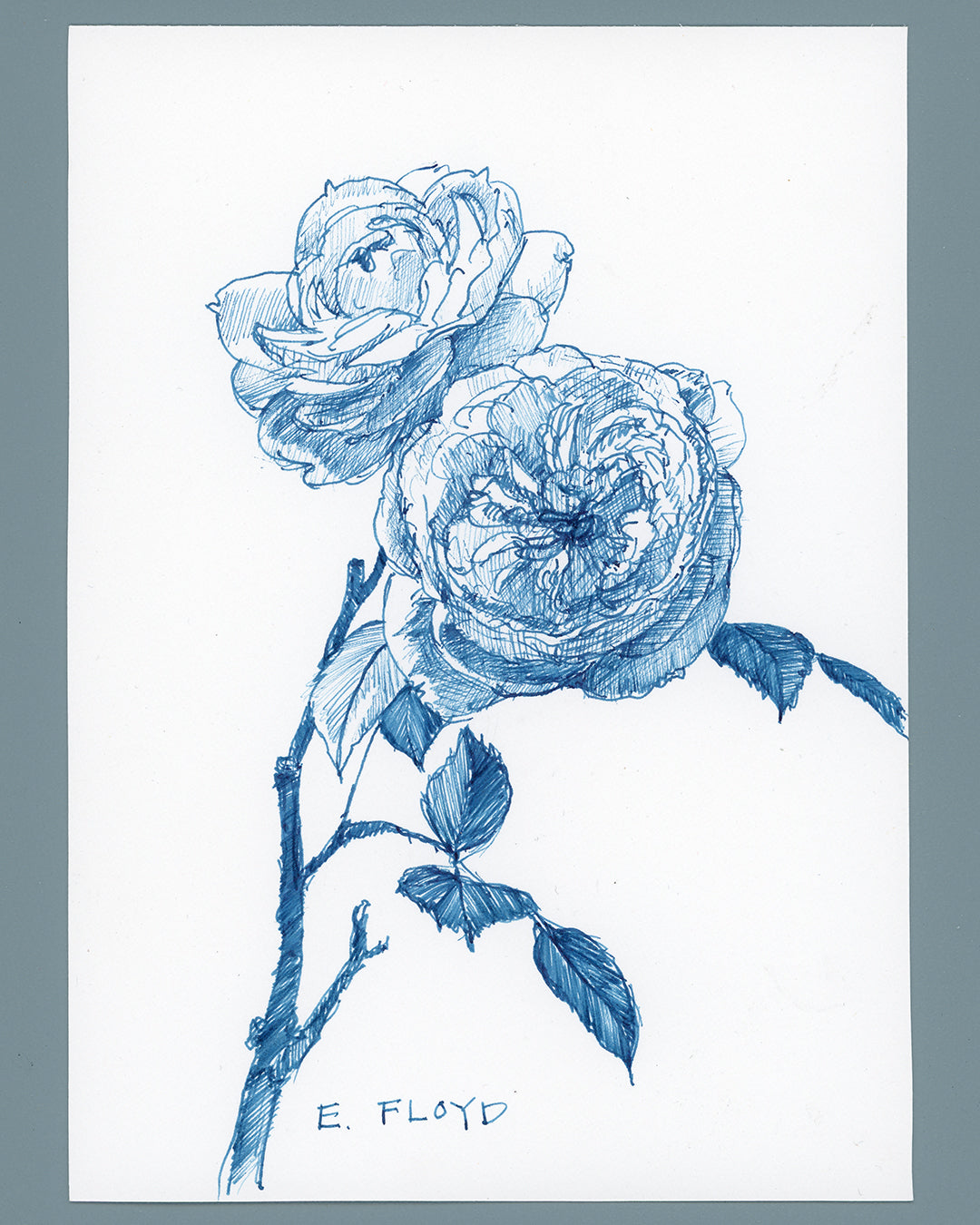 Everyday Flowers No. 31, Ink Drawing, Unframed