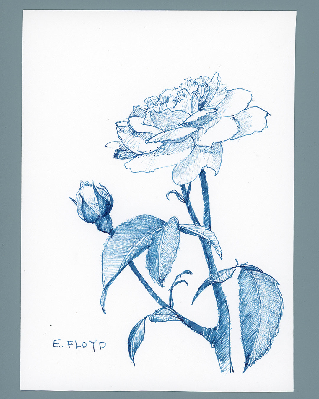 Everyday Flowers No. 34, Ink Drawing, Unframed