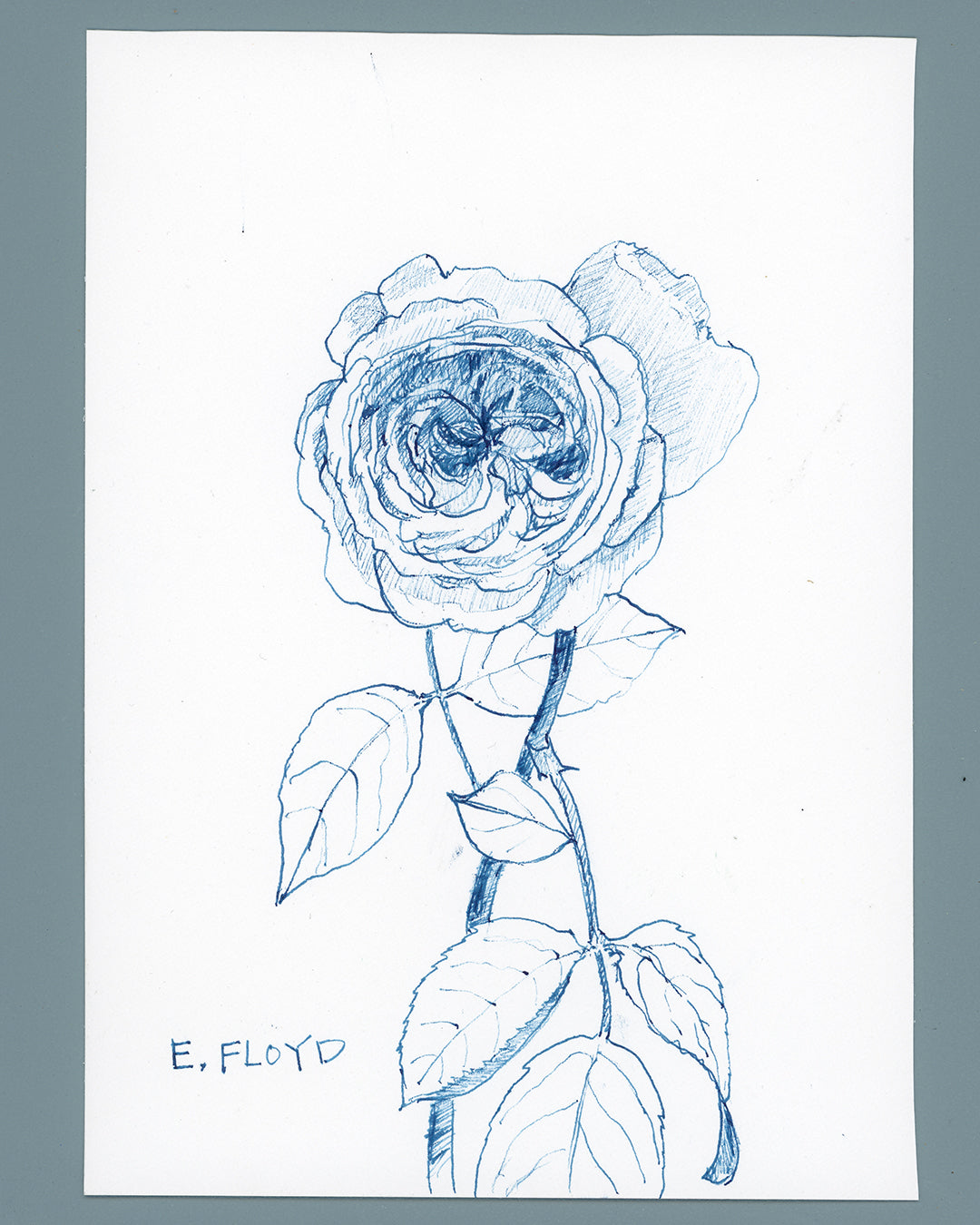 Everyday Flowers No. 35, Ink Drawing, Unframed