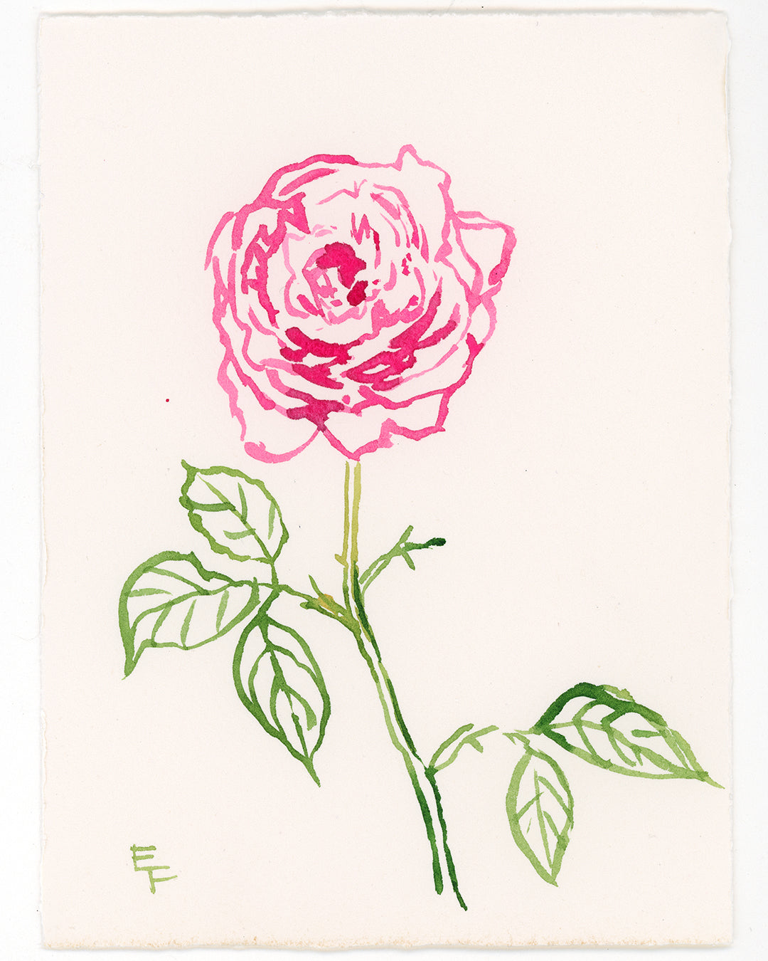 Single Rose, Blue and White Watercolor, Framed