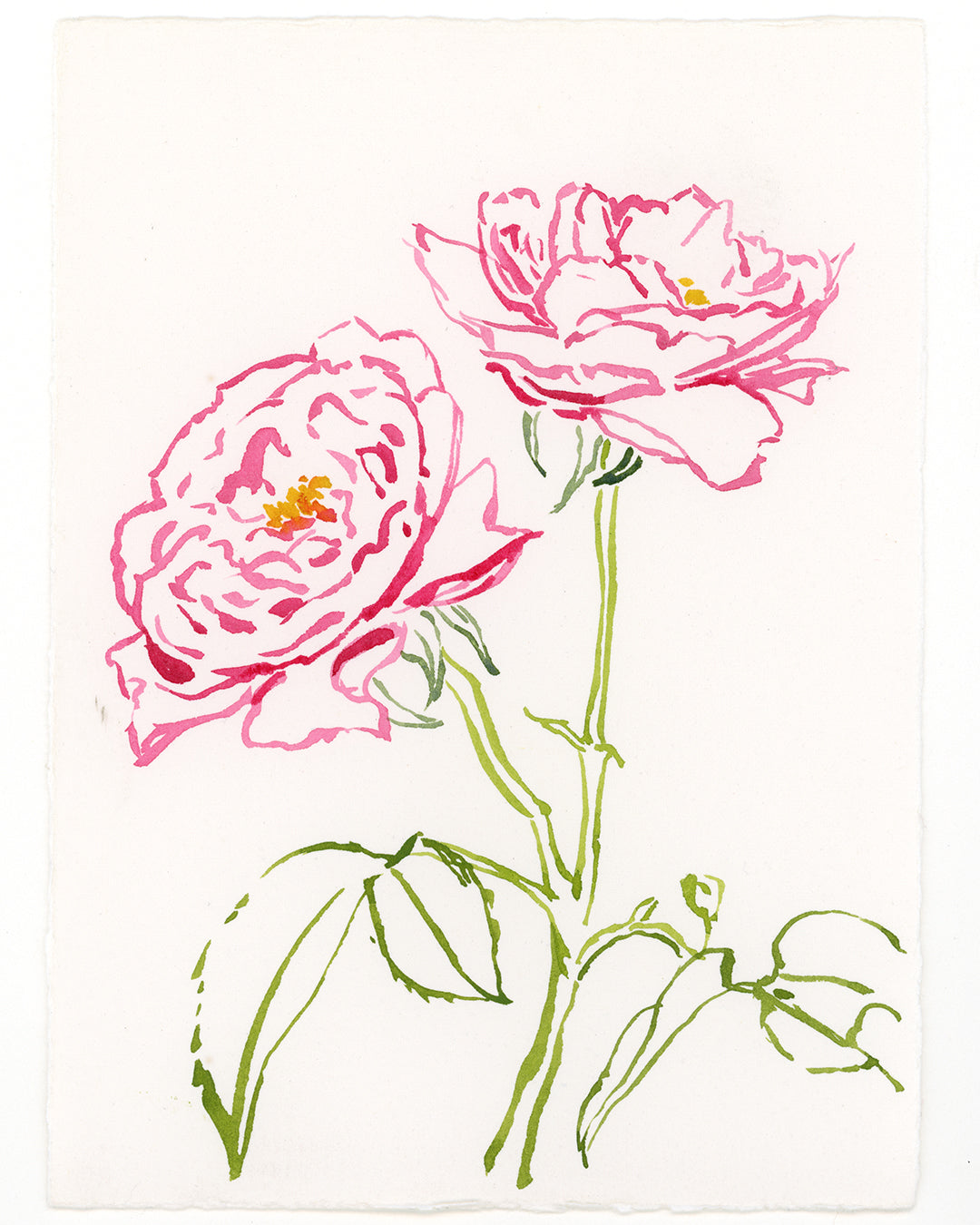 Two Roses, Blue and White Watercolor, Framed