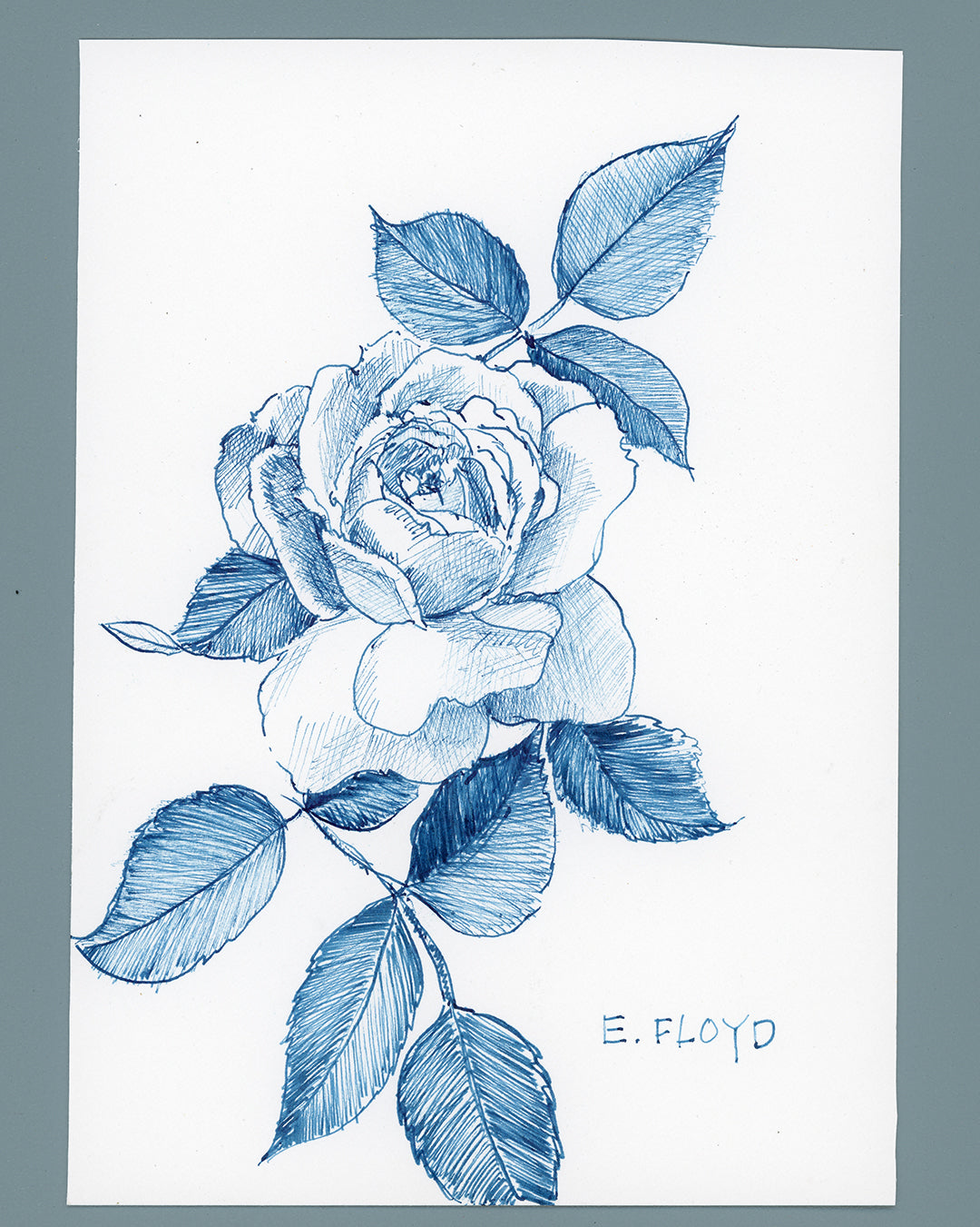 Everyday Flowers No. 25, Ink Drawing, Unframed