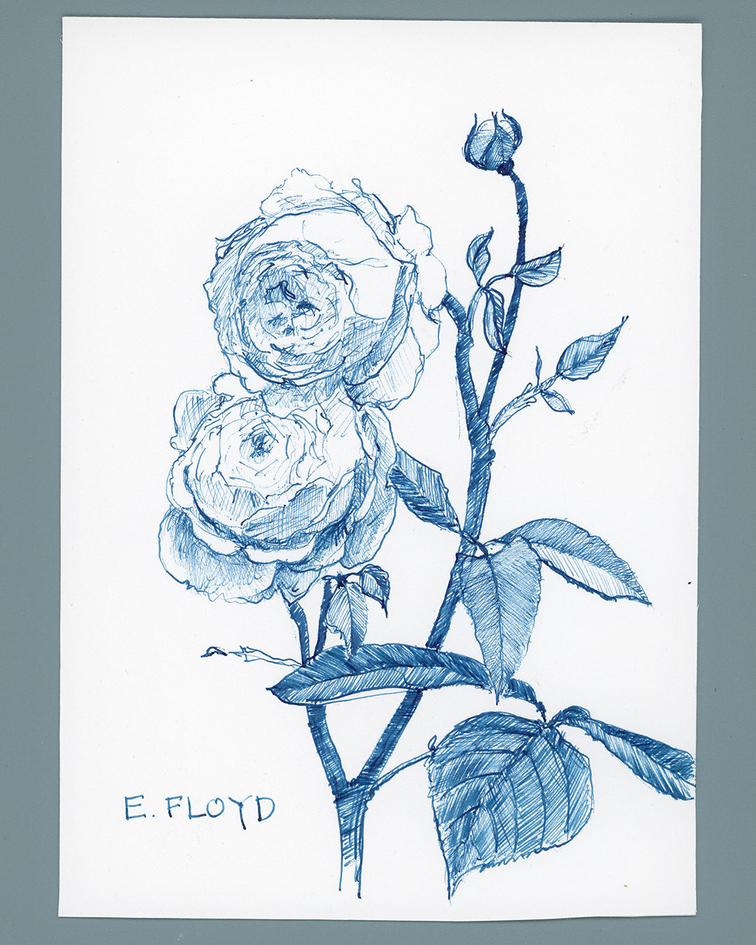 Everyday Flowers No. 26, Ink Drawing, Unframed
