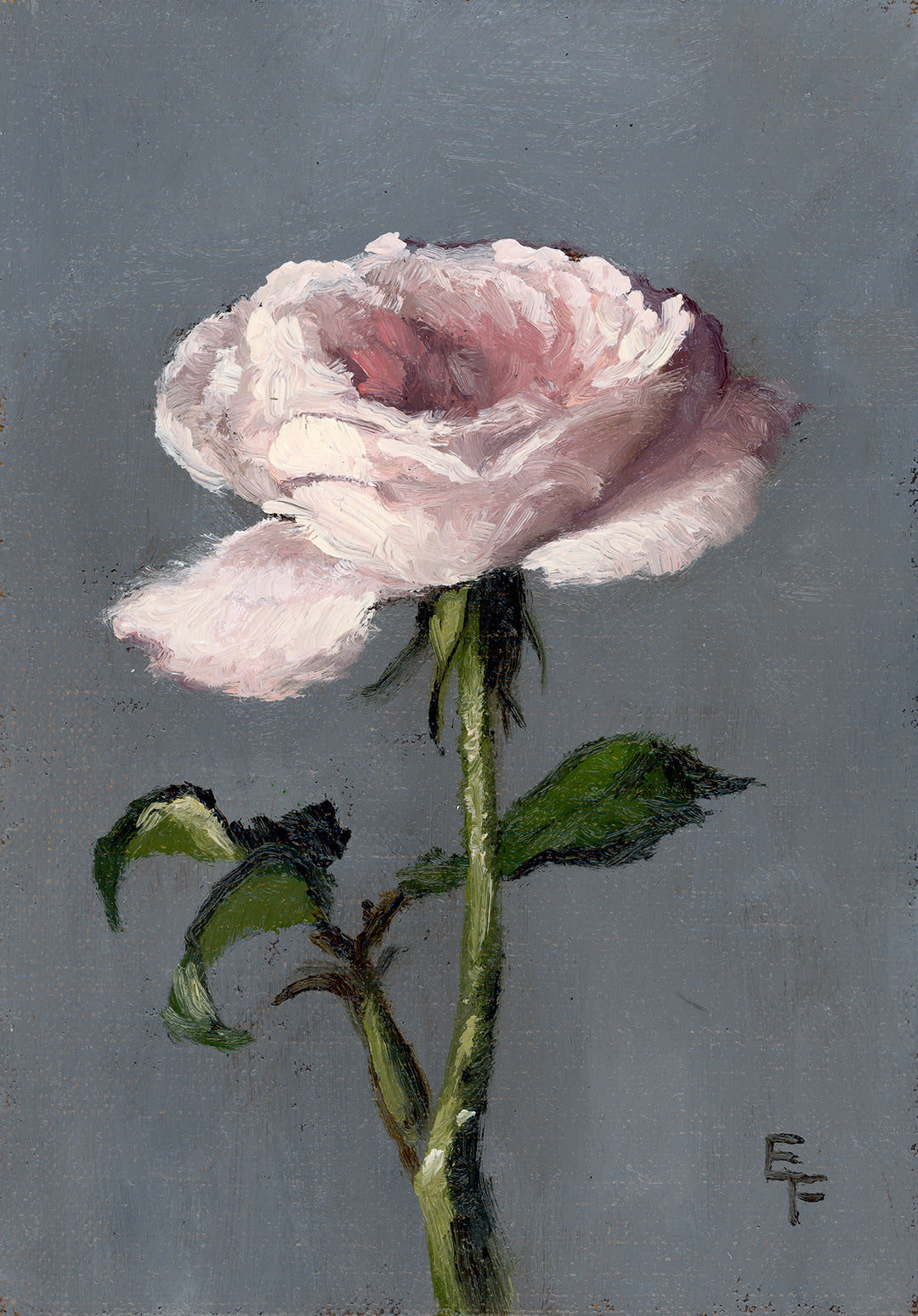 Purity Roses, 7 x 5 inches, oil painting, framed