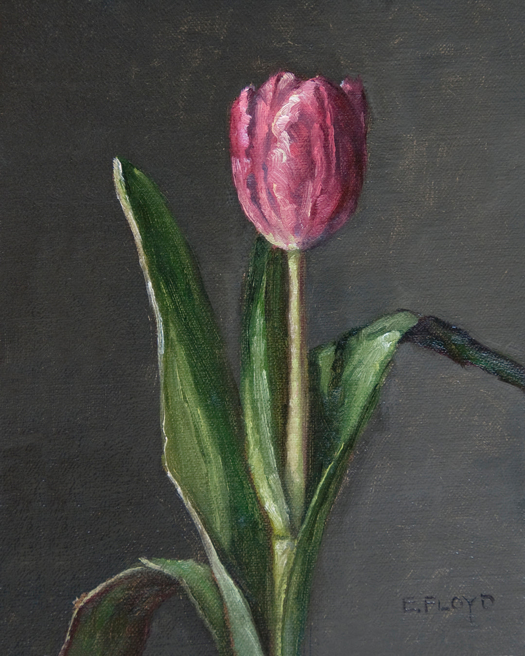 February 2025 - Limited Edition Print - Tulip