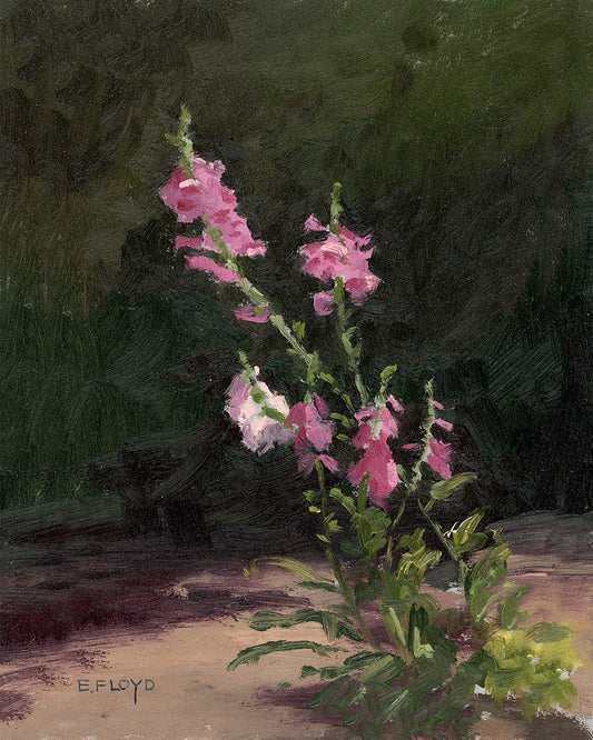 September 2025 - Limited Edition Print - Foxglove