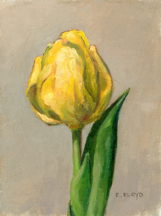 Yellow Tulip, 8 x 6 inches, oil painting, framed