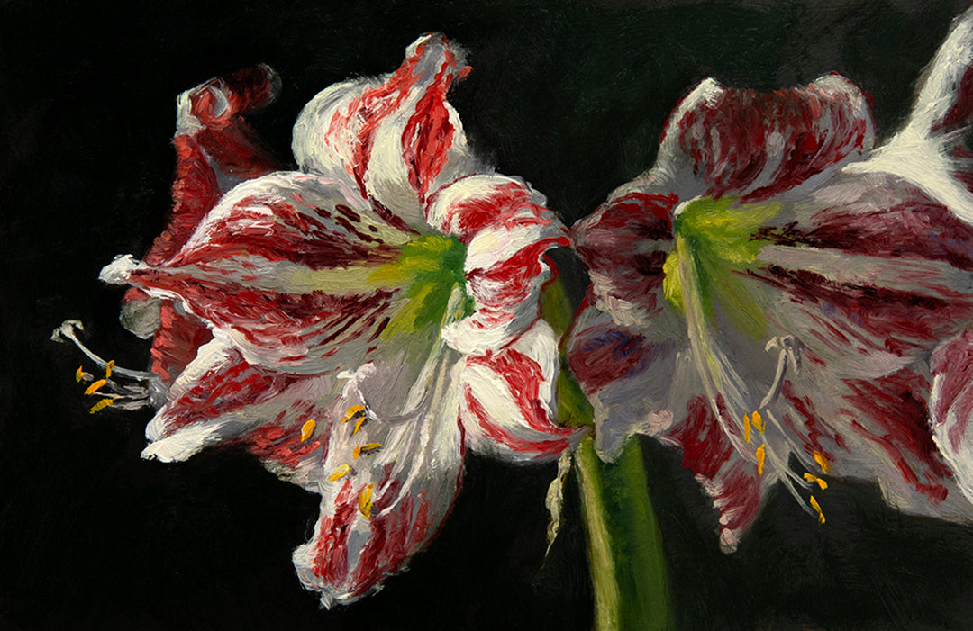 Amaryllis Ambiance, framed oil painting, 6 x 9 inches