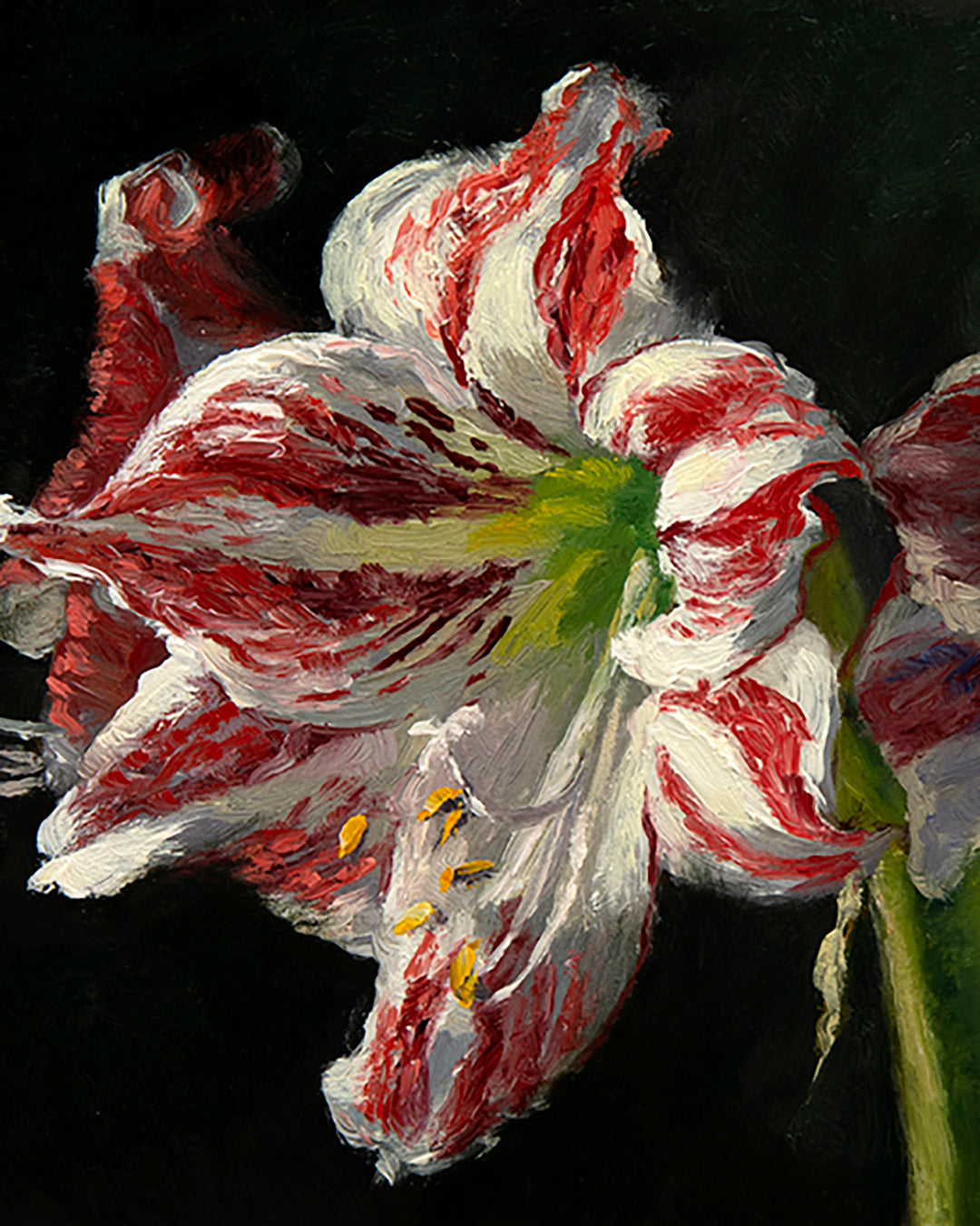 Amaryllis Ambiance, framed oil painting, 6 x 9 inches