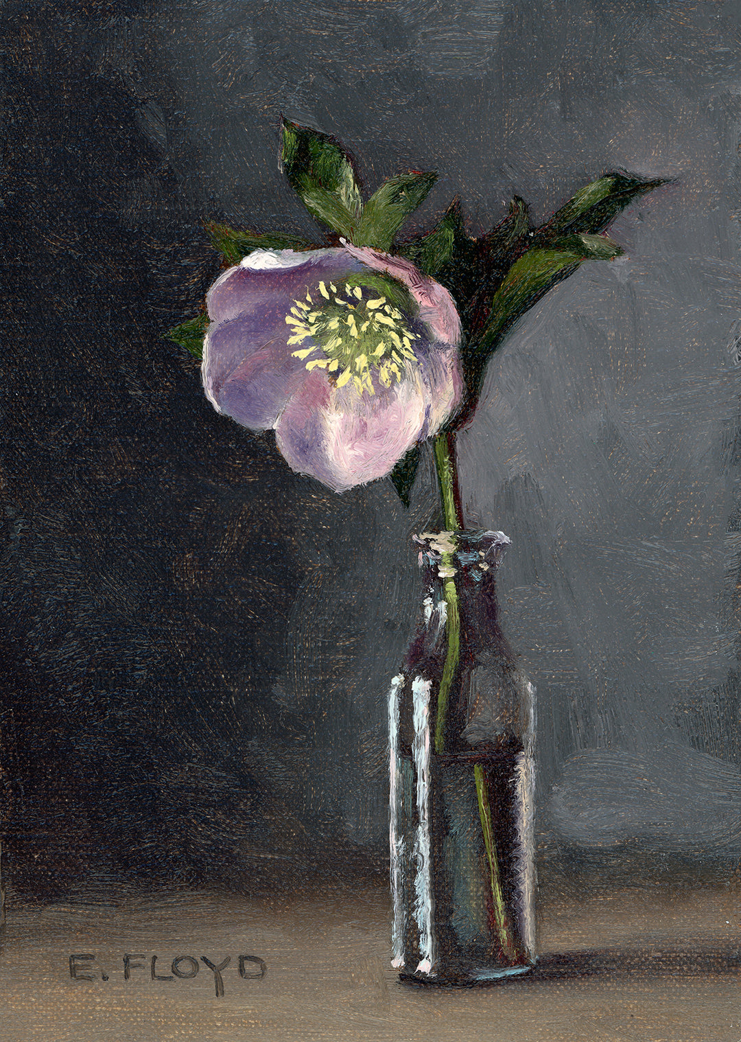 Hellebore, 7 x 5 inches, Framed Oil Painting