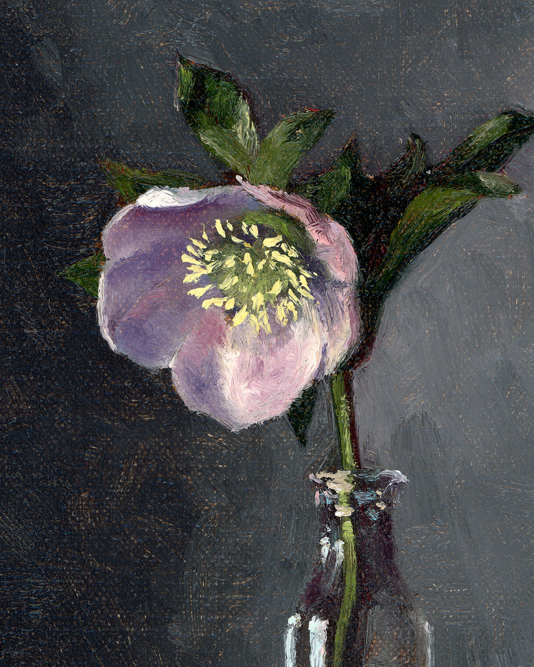 Hellebore, 7 x 5 inches, Framed Oil Painting