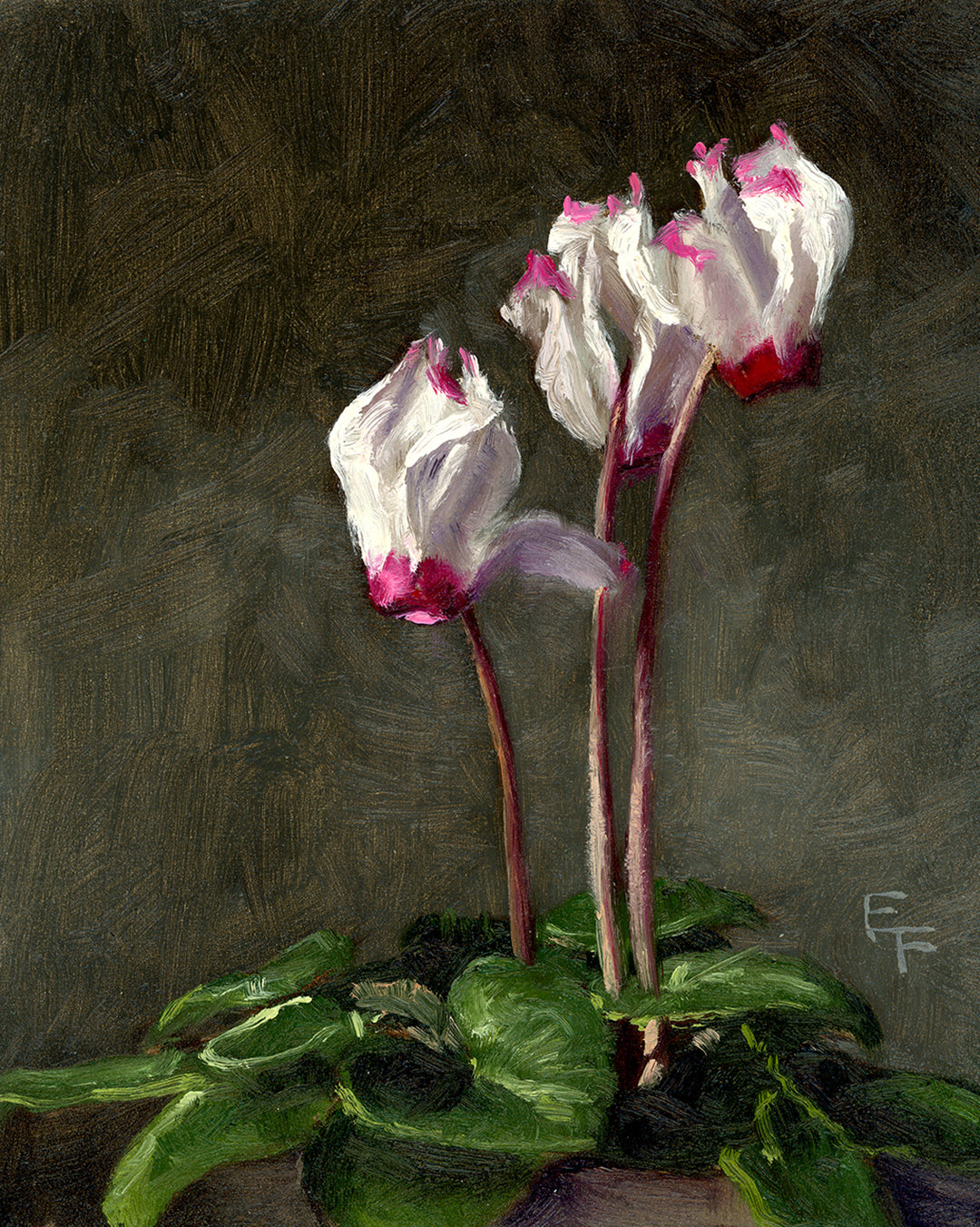 Cyclamen, Framed Oil Painting