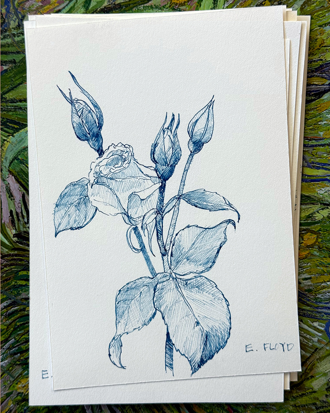 Everyday Flowers No. 14, Ink Drawing, Unframed