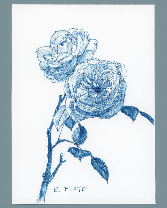 Everyday Flowers No. 31, Ink Drawing, Unframed