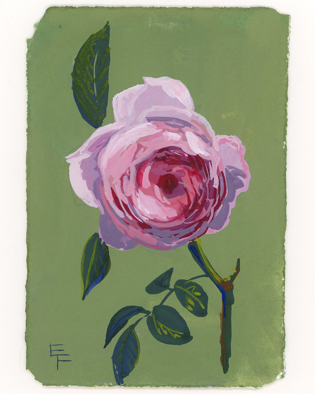 Gouache Rose No. 1, Unframed