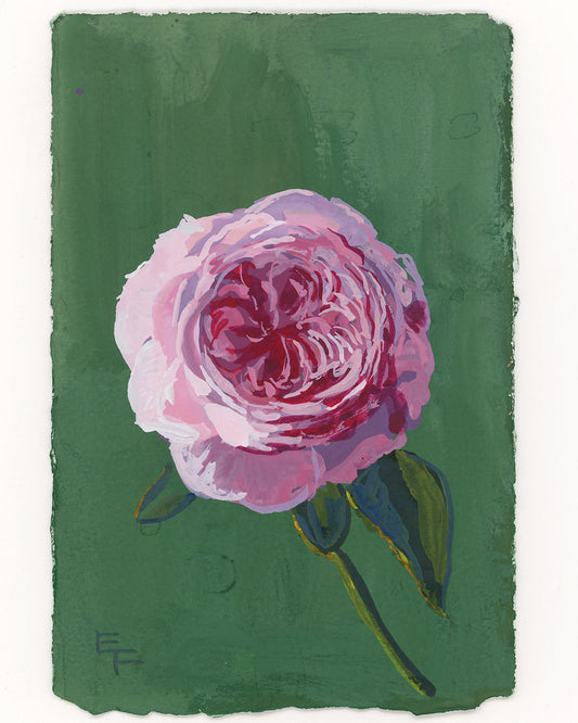 Gouache Rose No. 2, Unframed