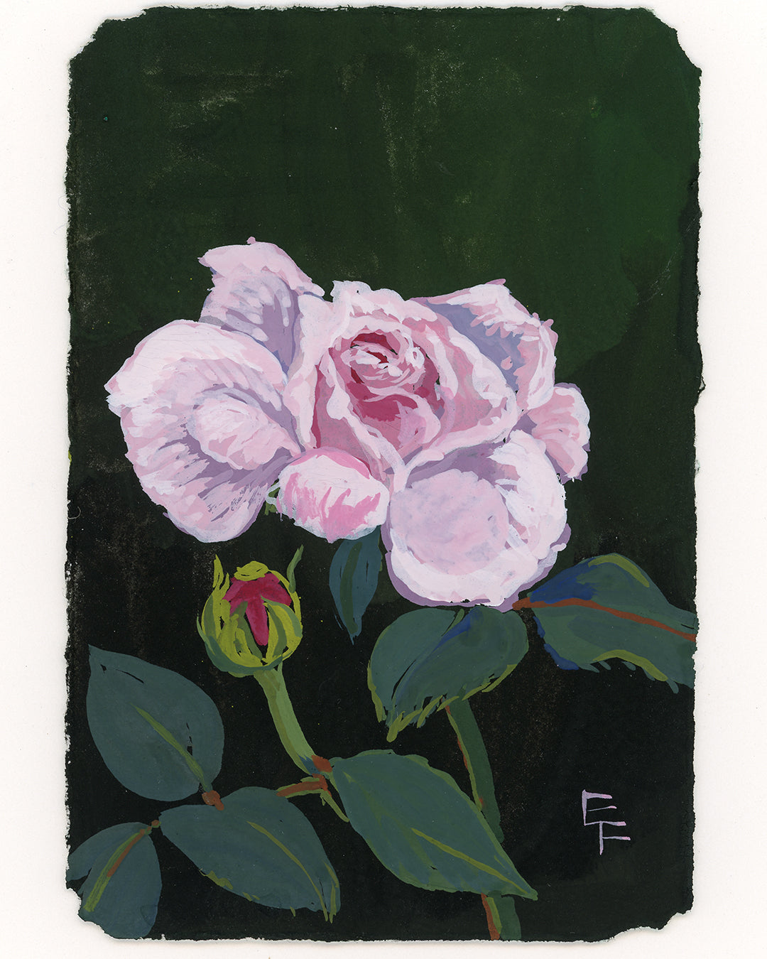 Gouache Rose No. 4, Unframed