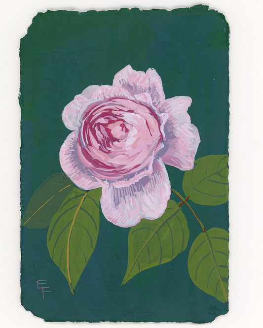 Gouache Rose No. 5, Unframed