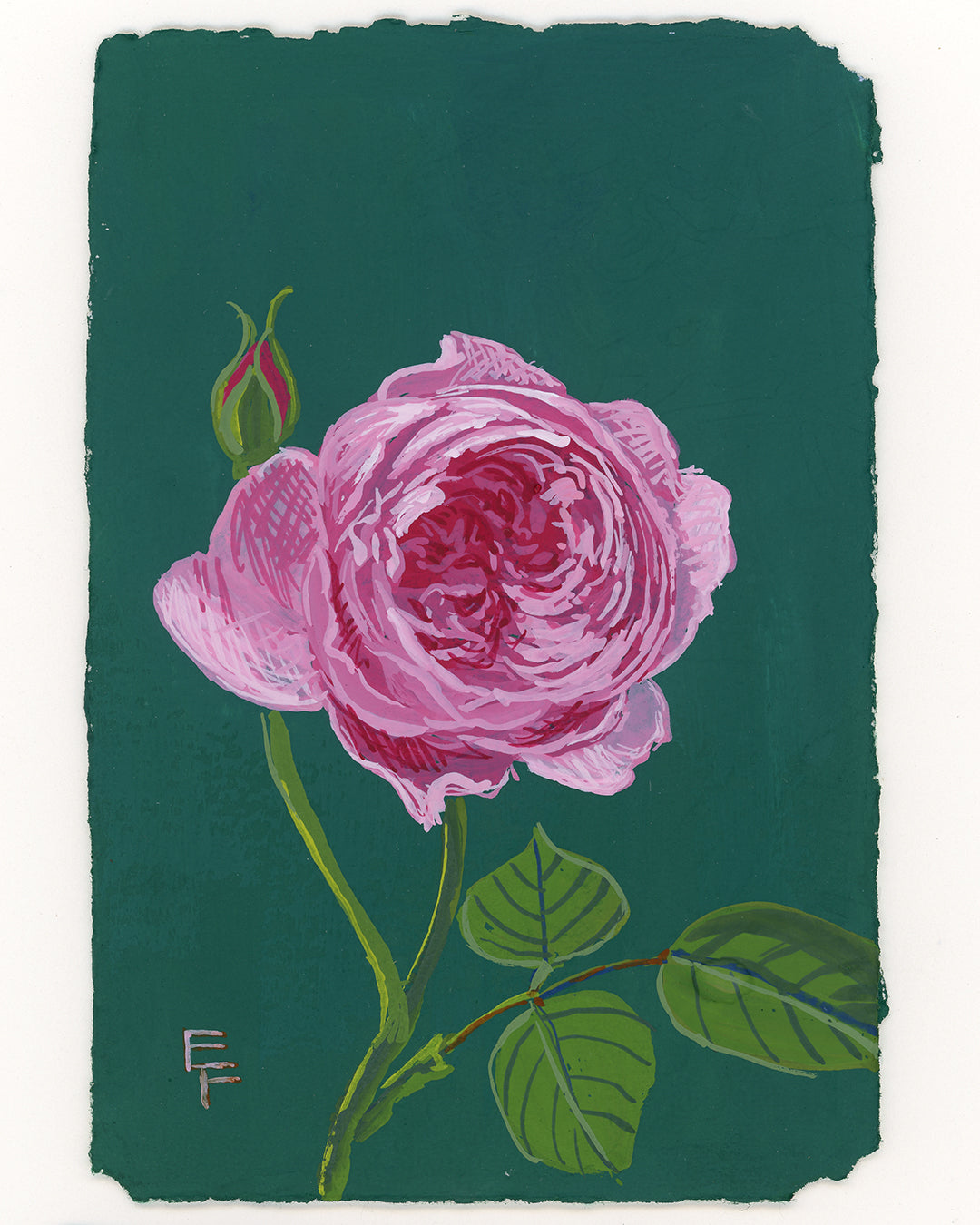 Gouache Rose No. 6, Unframed