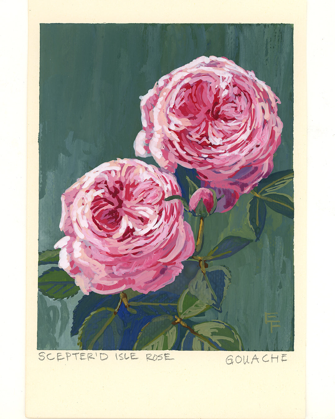 Scepterd Isle Roses, Gouache, Framed