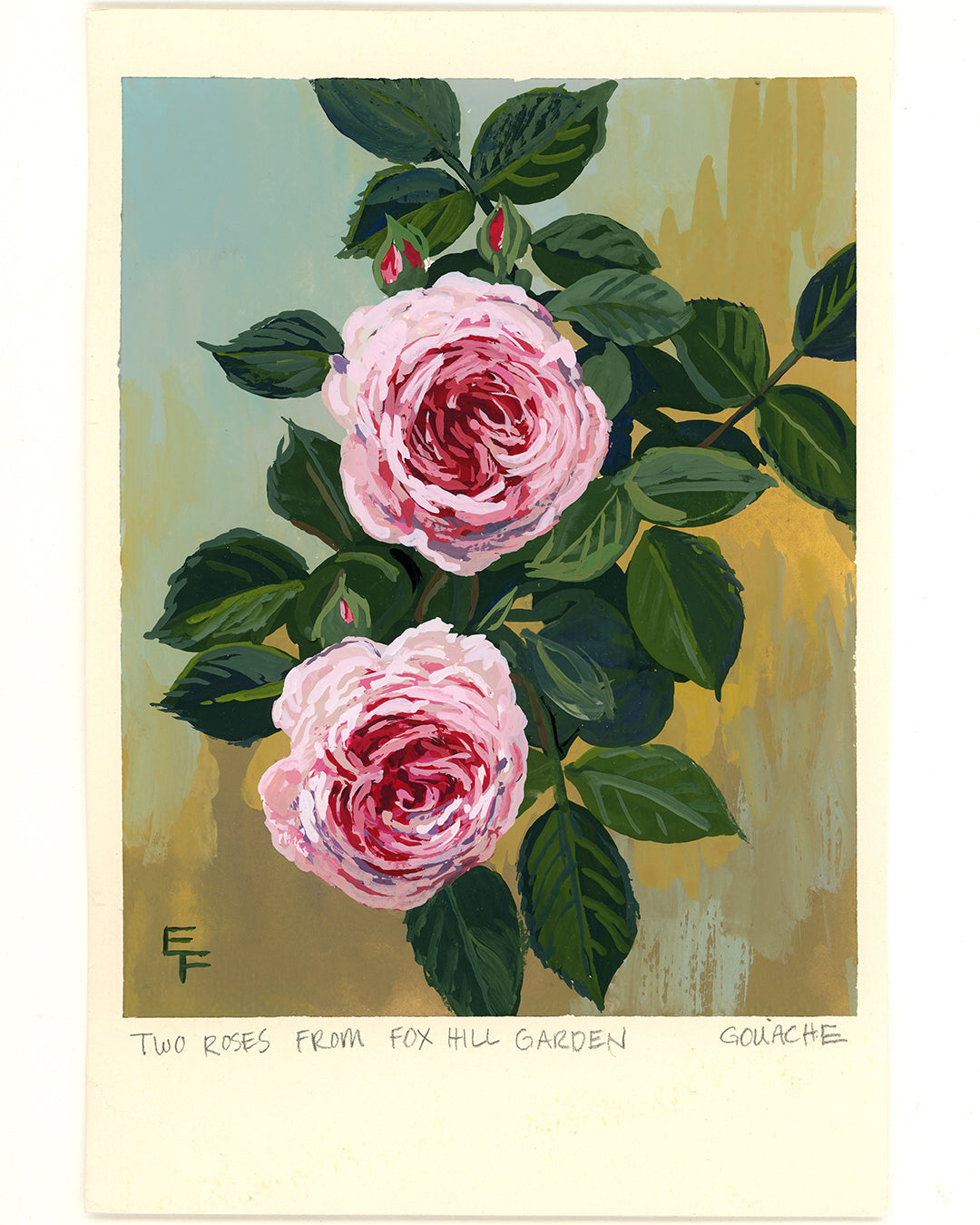 Two Roses from Fox Hill, Gouache, Framed