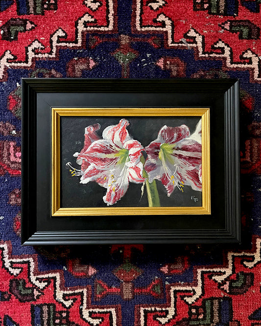 Amaryllis Ambiance, framed oil painting, 6 x 9 inches