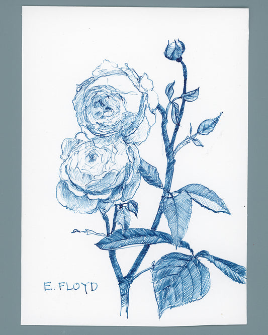 Everyday Flowers No. 26, Ink Drawing, Unframed