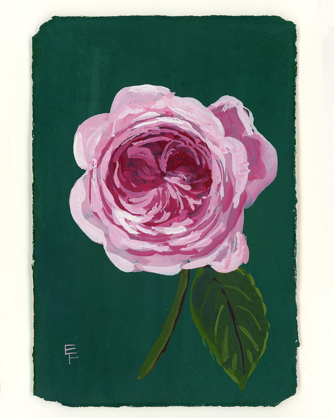 Gouache Rose No. 7, Unframed
