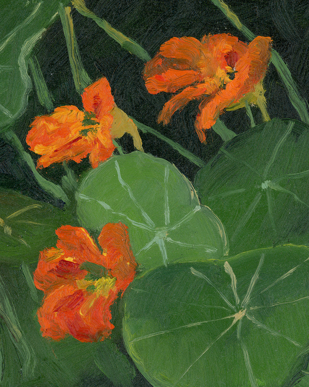 Nasturtiums in the Garden, Framed Plein Air Oil Painting