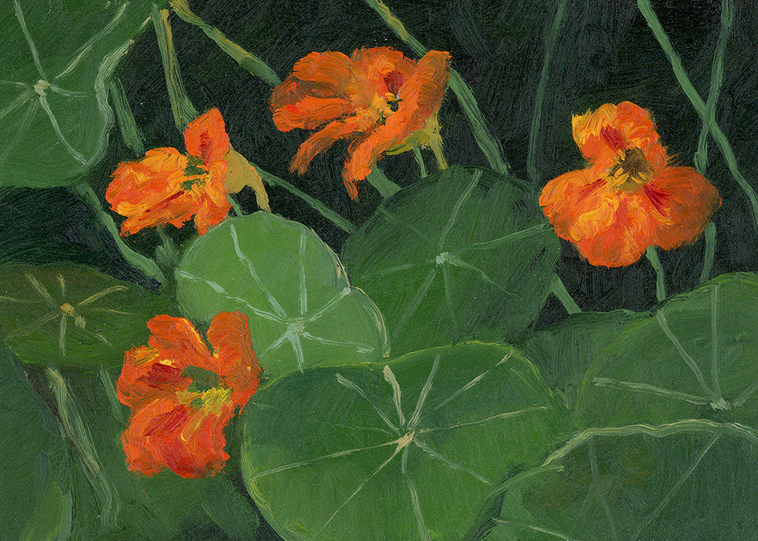 Nasturtiums in the Garden, Framed Plein Air Oil Painting